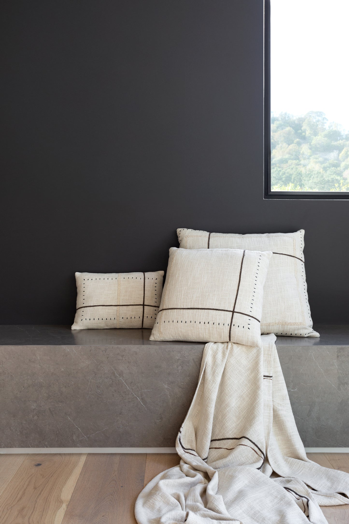 Frame Pillows