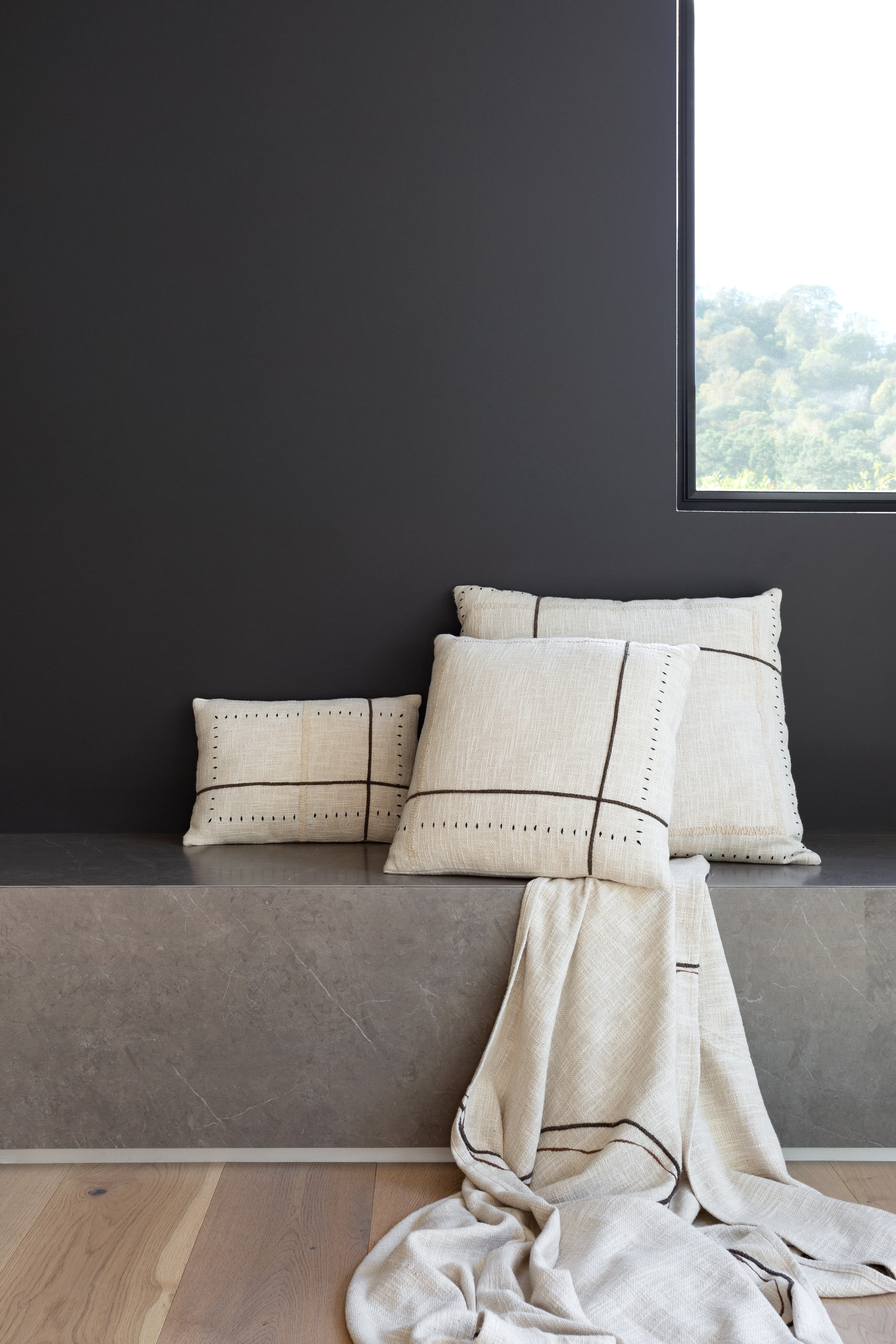 Frame Pillows