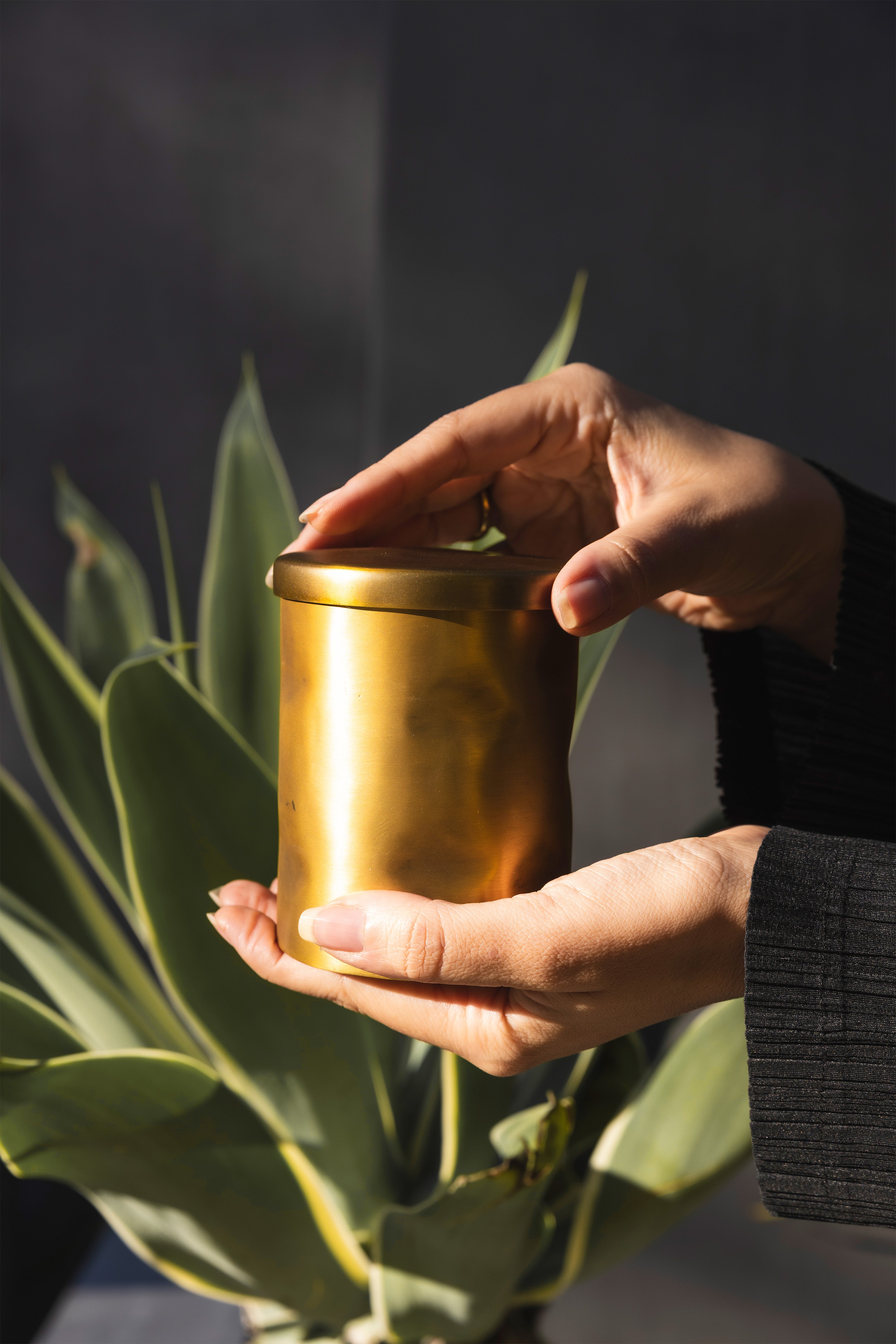 Birdie Catchall with Lid